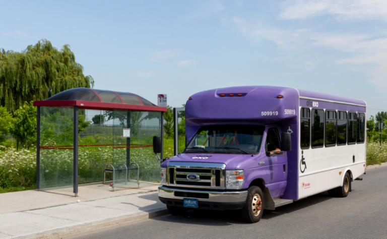 wheelchair bus